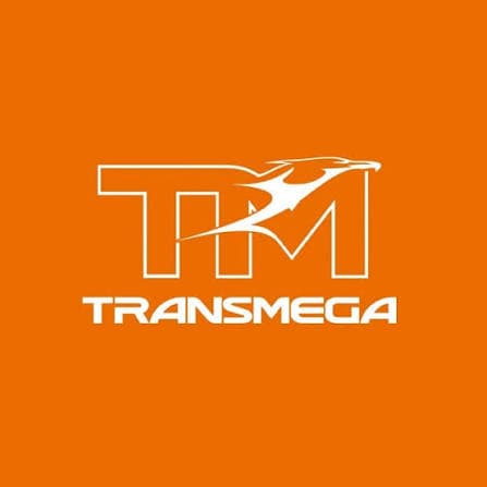 Leonardo Martins - Transmega Gestão de Frota